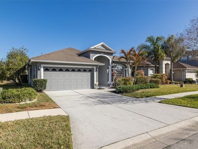 20301 FALLING ROCK DRIVE, Land O Lakes, FL, 34638