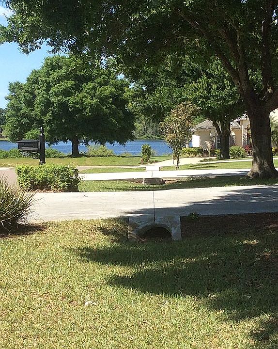 Lake view from front yard