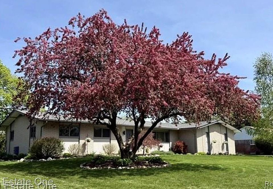 1st image of 1115 Torpey Dr