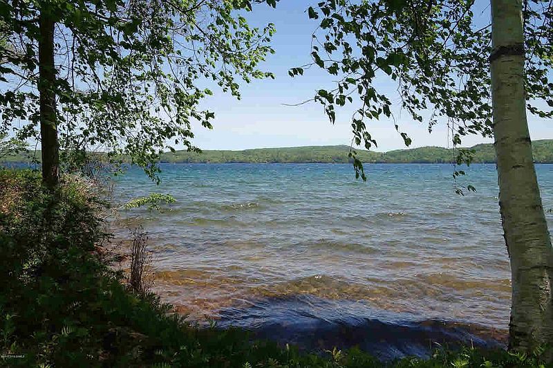 4th image of 14 JENKINS POINT Drive