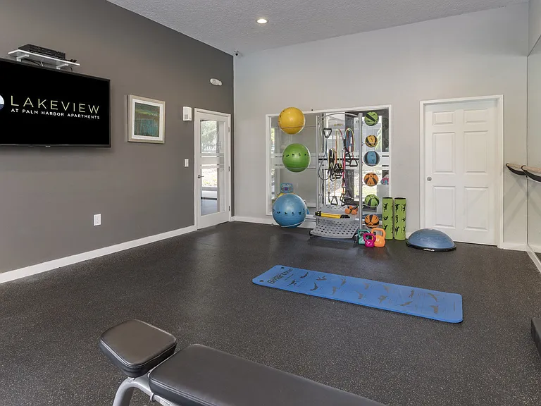Lakeview at Palm Harbor — Photo 13