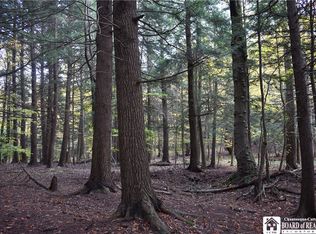 0 Flucker Hill Rd, Forestville, NY 14062