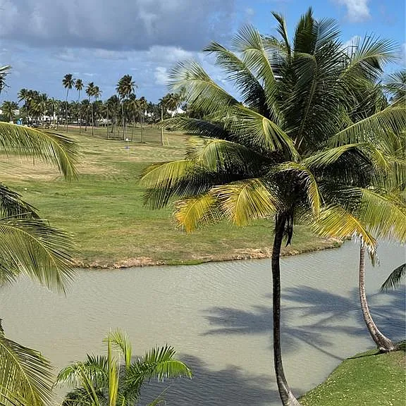 VILLAS DE GOLF OESTE Dorado Del Mar Boulevard #121 — Photo 58