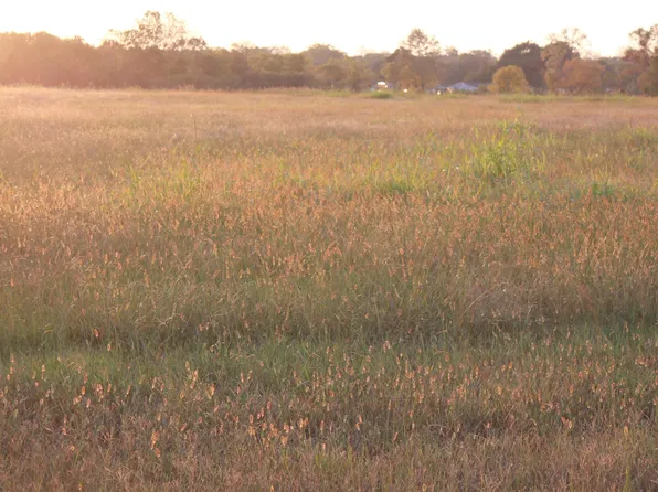 3 Summerford Orr Rd, Falkville, AL 35622