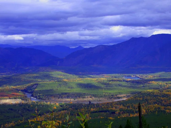 Nhn Blankenship Rd, Columbia Falls, MT 59912