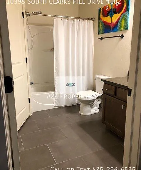 10398 S Clarks Hill Dr #102 — Photo 13