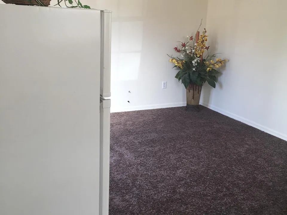view from entrance to living room