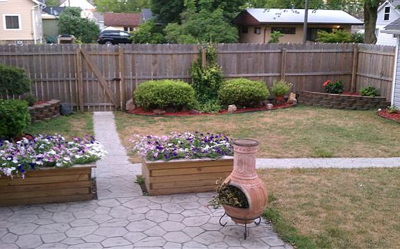 back yard