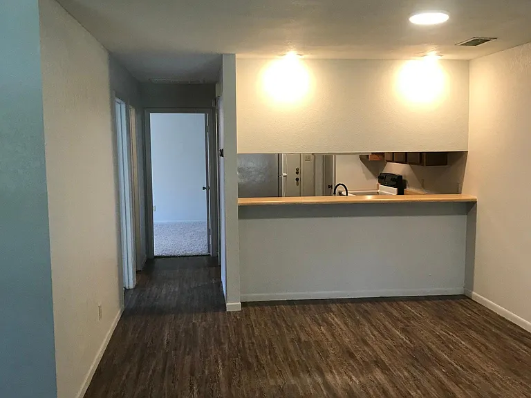 312 Turtle Cv — Photo 5