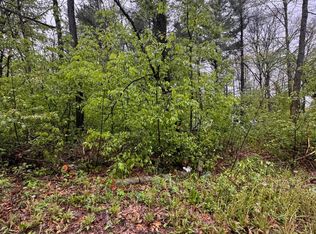 Paw Paw Trl, Howard City, MI 49329