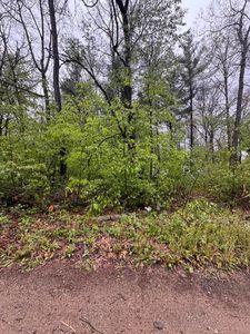 Paw Paw Trl, Howard City, MI, 49329