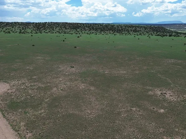 LOT 169 Deer Cir, Quemado, NM 87829