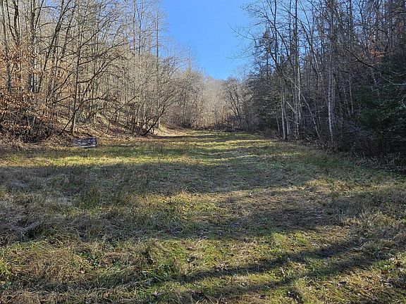 4th image of 0 Buck Fork Rd