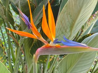 Aloha Rd LOT 504, Pahoa, HI 96778