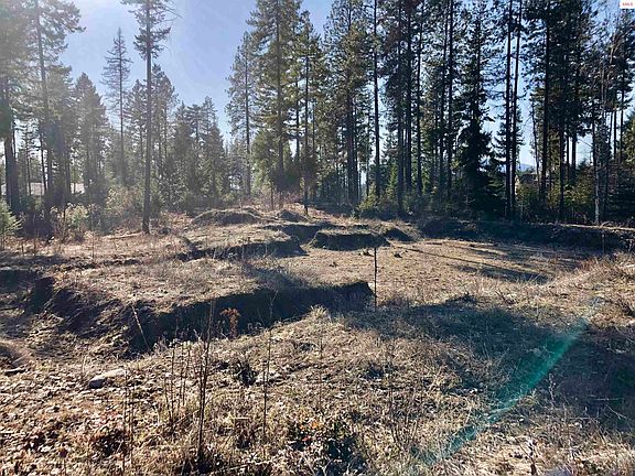 4th image of 142 Wood Duck Ln