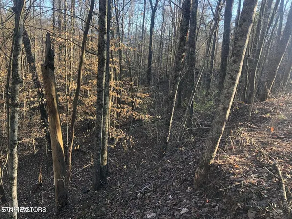Yellowwood Dr, Sevierville, TN 37876