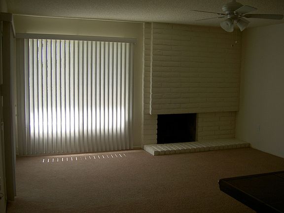 family rm & fireplace