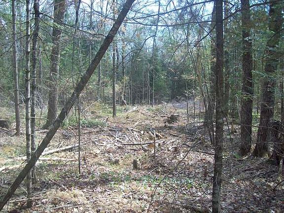 5th image of Near Spring Brook Ave