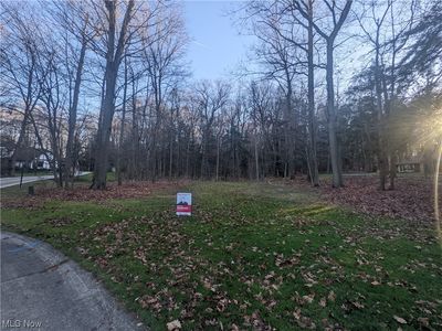 Whitney Ln, Painesville, OH, 44077