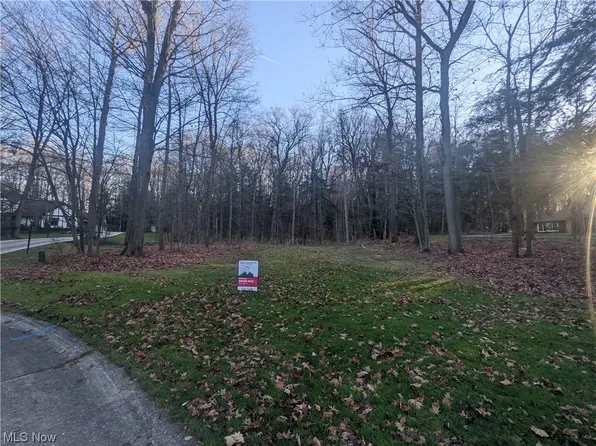 Whitney Ln, Painesville, OH 44077