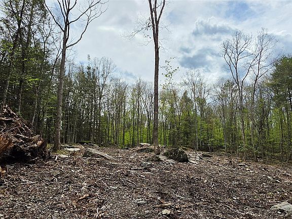 4th image of Lot 82 Perry Pond Road