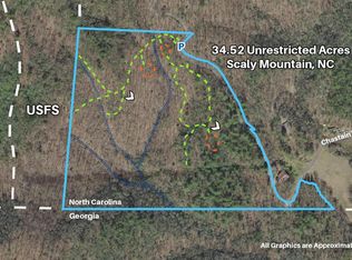 880 Chastain Rd, Scaly Mountain, NC 28775