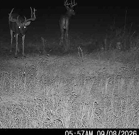 2nd image of 0 W Carmony Rd