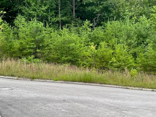 10975 Thatcher Crest Dr, Soddy Daisy, TN 37379