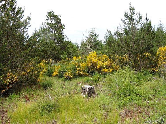 3rd image of 0 W Honeysuckle Ln