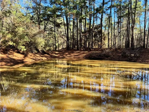 Fcr #241, Fairfield, TX 75840