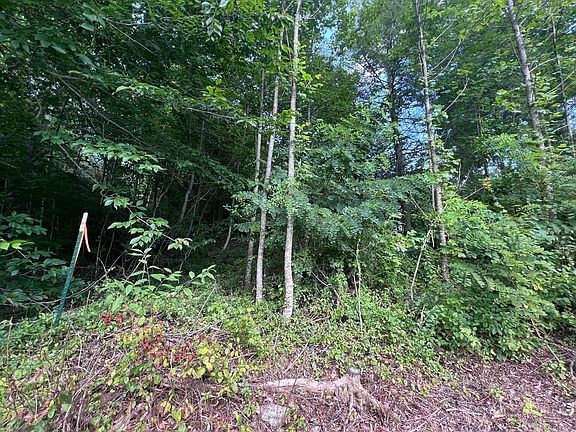 5th image of 99999 Sharpes Woods Rd