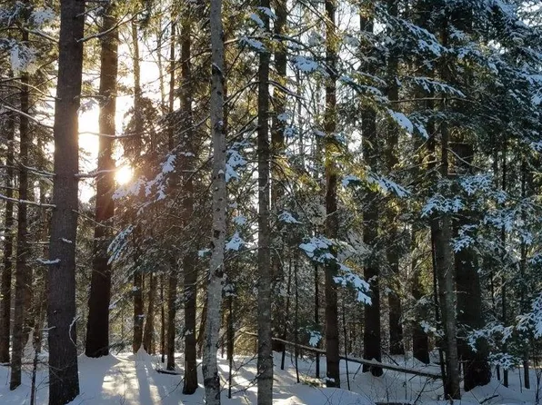 TBD US Route 3, Columbia, NH 03590