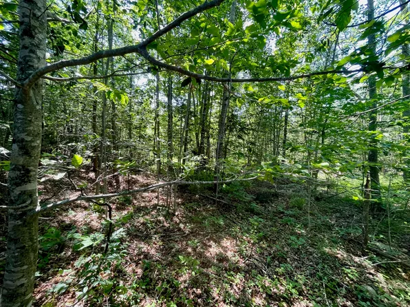341 McDowell Road, Washington, ME 04574