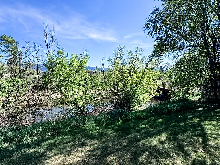 Common Back Yard ON the river