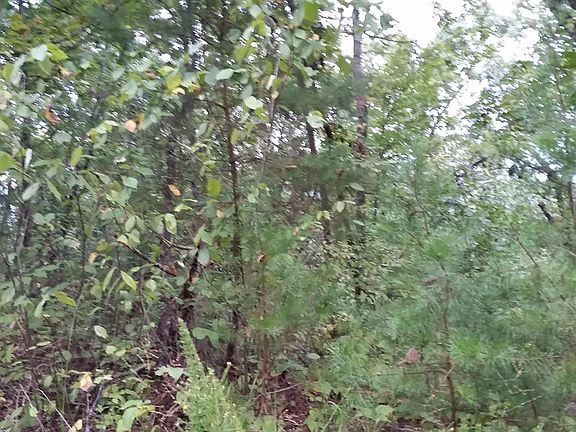 5th image of LOT 35 Dogwood Dr Lot 35