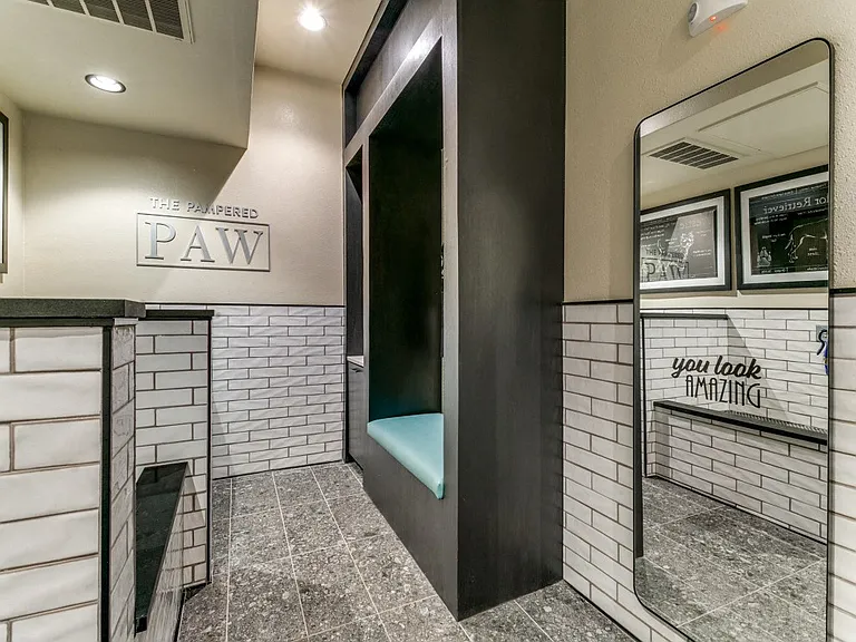 The Pampered Paw pet spa