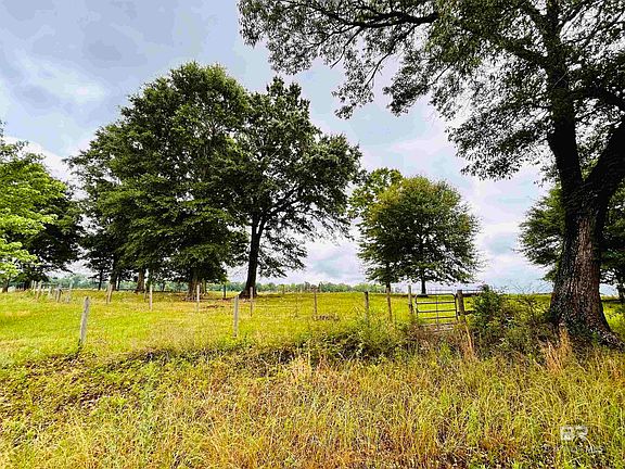 4th image of 822 Dogwood Rd