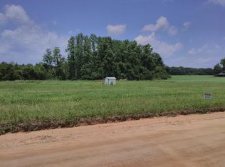 7773 Clark Rd, Blackshear, GA 31516