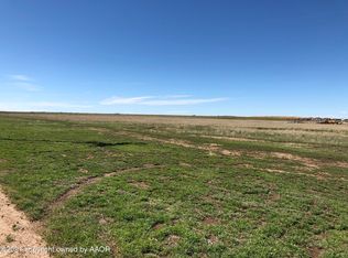 11442 W Costley Rd, Amarillo, TX 79119