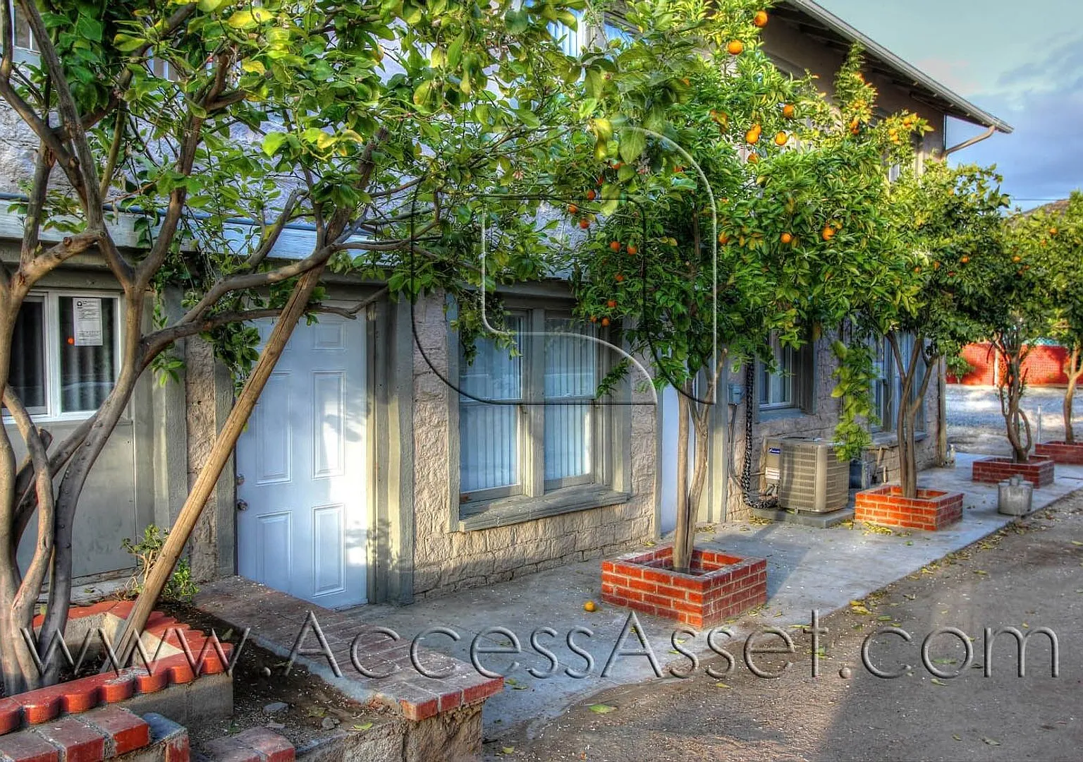 (*) N Chestnut 242 — Photo 1