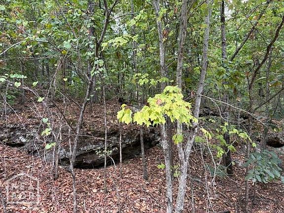 2nd image of 1111 Bob Davis Mountain Rd