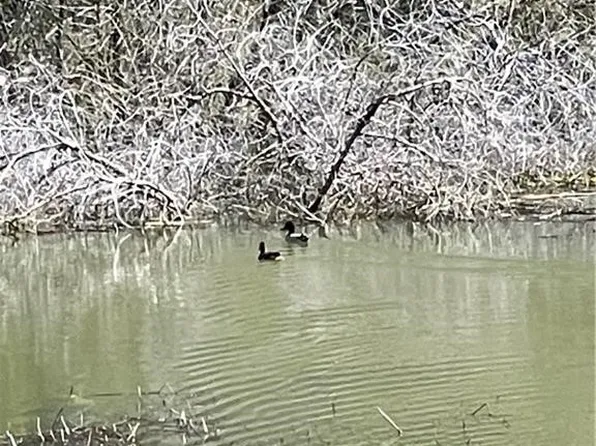 9650 Rocky Creek Rd, Lower Lake, CA 95457