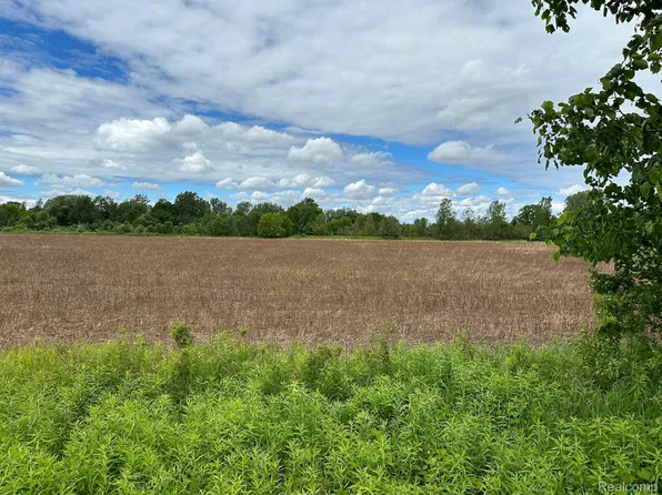 0 Tubspring Rd, Almont, MI 48003
