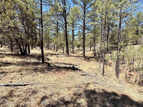 3rd image of 15 Timber Dr