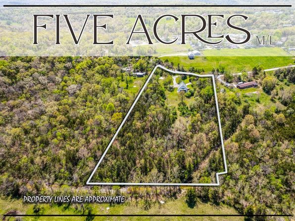 481 Jessi Road, Forsyth, MO 65653