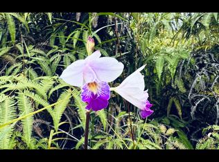 Road 2 LOT 2838, Kurtistown, HI 96760