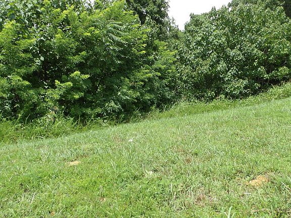2nd image of LOT-17D Crappie Ln