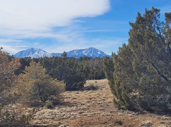 Calle La Sierra Blanca Dr #304, Walsenburg, CO 81089