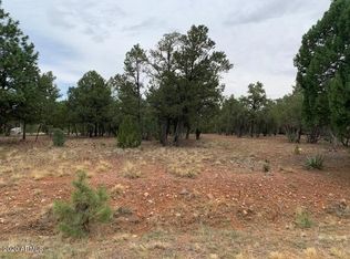 2296 Aero Mech Dr, Overgaard, AZ 85933