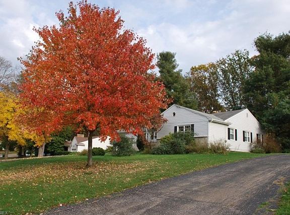 2nd image of 557 Winslow Ave